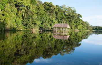 Denuncian el asesinato de guardaparque indígena en la Amazonía de Perú