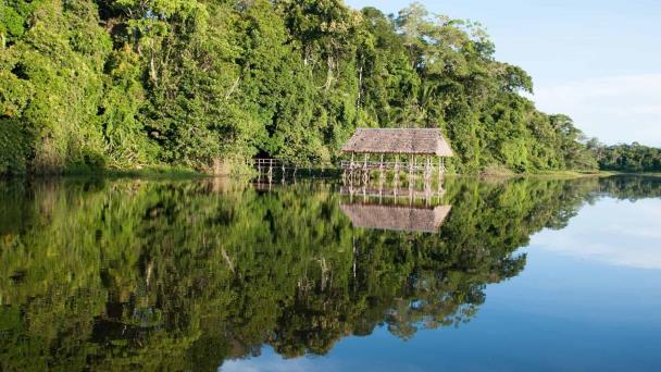 Denuncian el asesinato de guardaparque indígena en la Amazonía de Perú