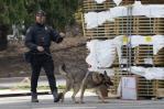 Home Depot contrata guardias y perros para mantener estacionamiento a salvo de migrantes agresivos