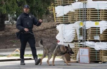Home Depot contrata guardias y perros para mantener estacionamiento a salvo de migrantes agresivos