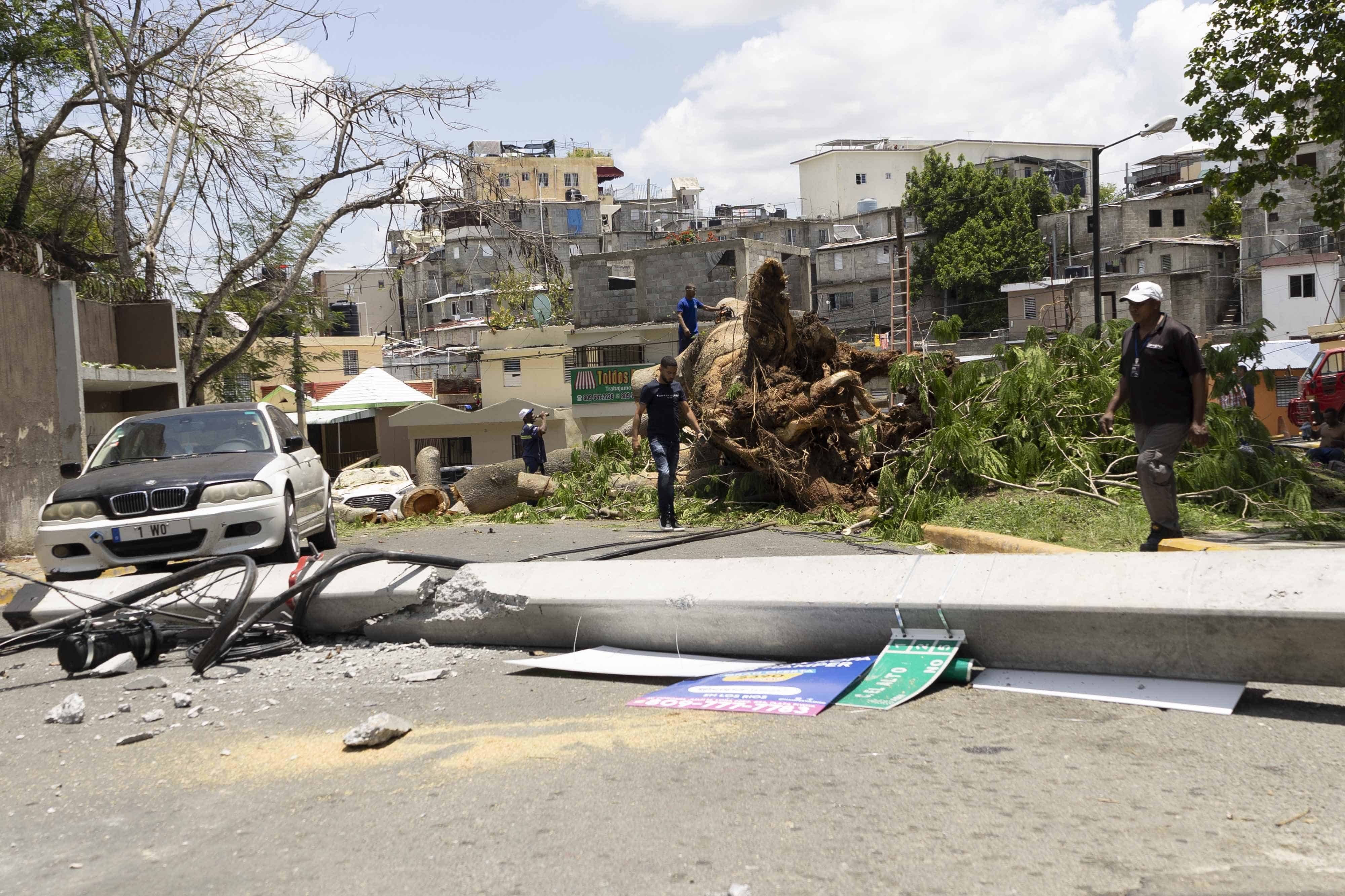 El árbol derribó postes del tendido eléctrico en Los Ríos.