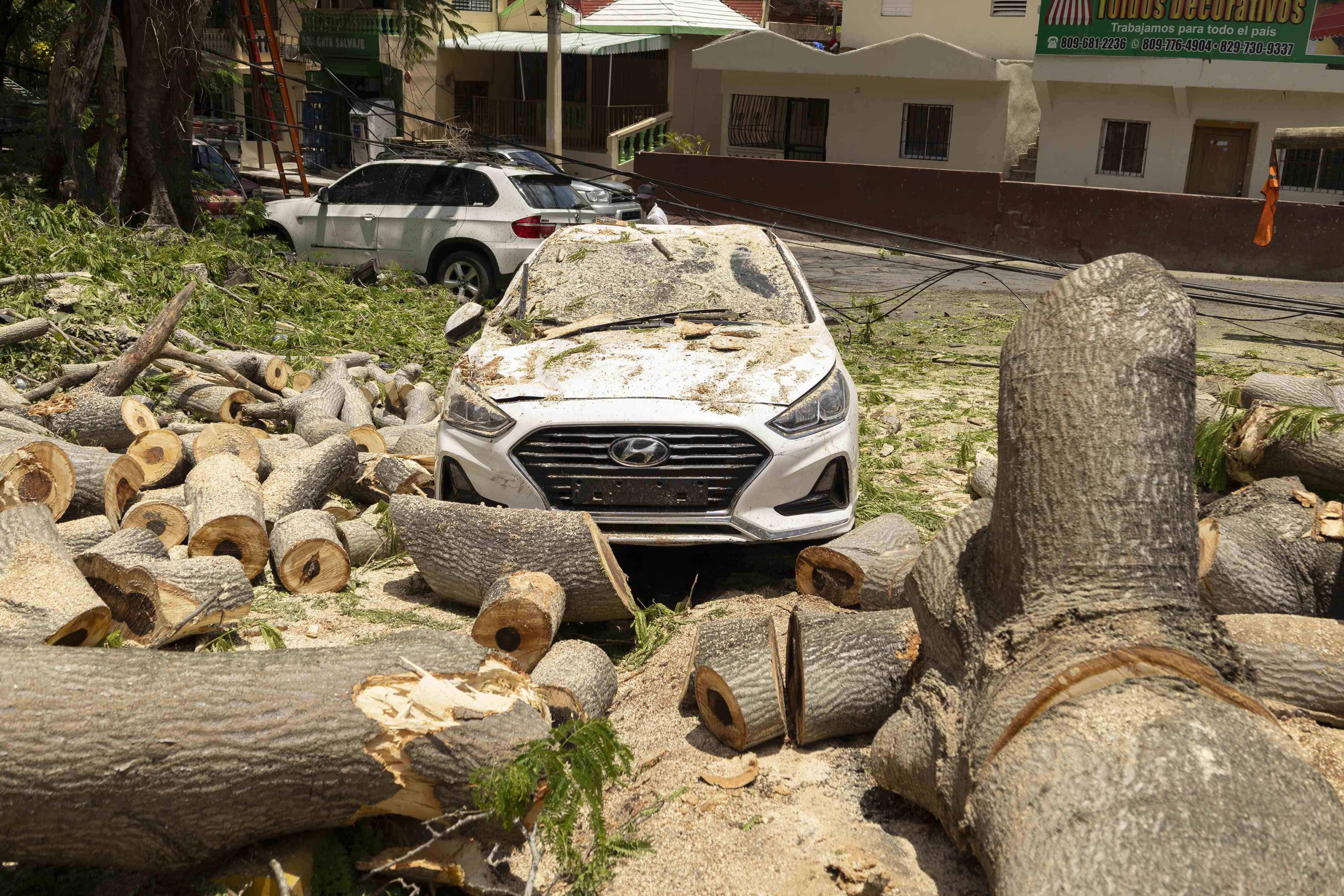 Este carro fue afectado por algunas ramas. 