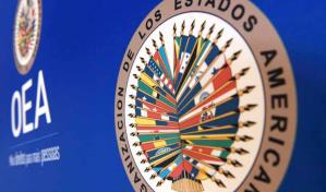 La Misión de la OEA confía en que los mexicanos vencerán al temor en las elecciones