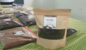 Programa del BID Lab y Agencia Italiana impacta a caficultores de la frontera