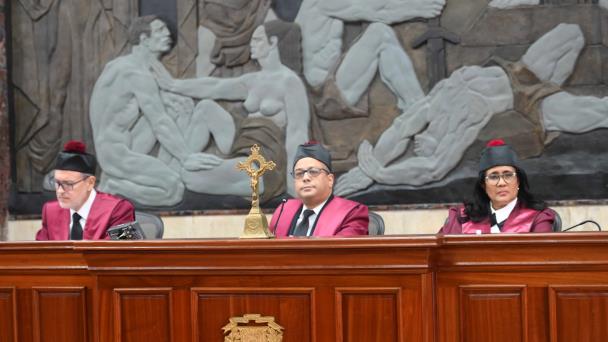 FP, PLD y PRD piden que se declare inconstitucional la Ley 1-24 que crea la DNI