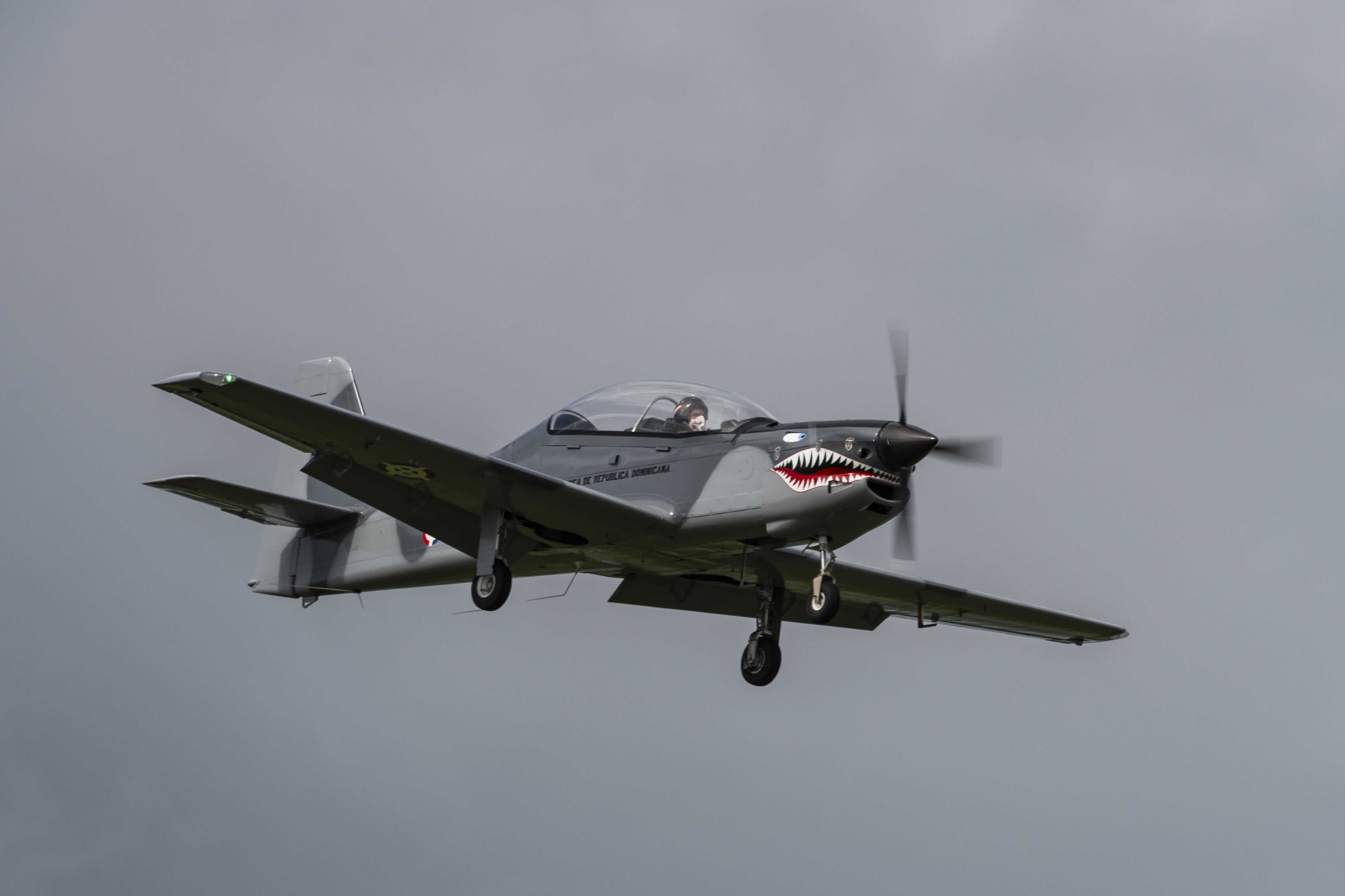 Otro de los protagonistas fue el silencioso y versátil avión Dulus, recientemente adquirido y armados por los miembros de las FARD.