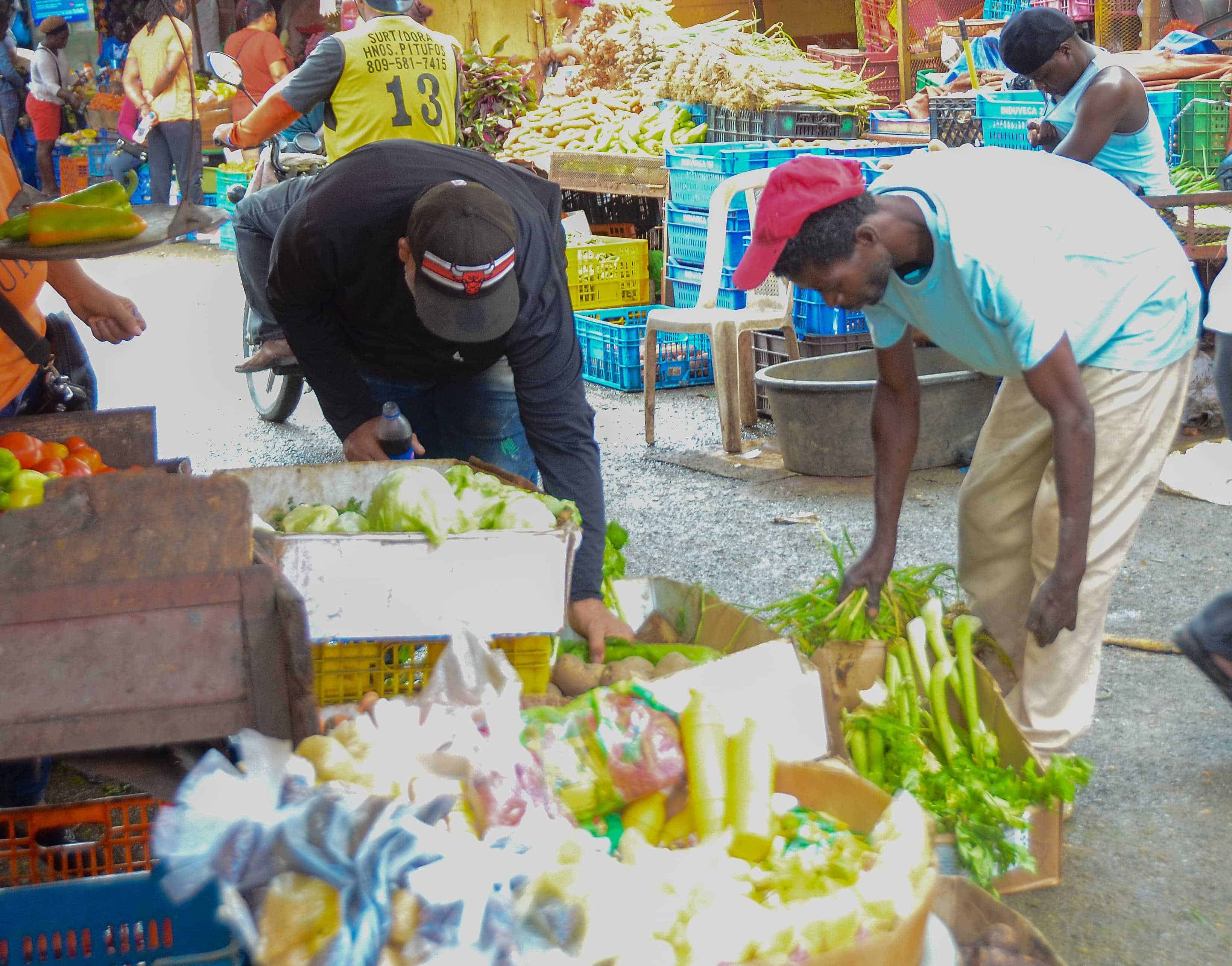 Extranjero recoge legumbres desde un basurero y luego las vende en el mercado más grande de Santiago.
