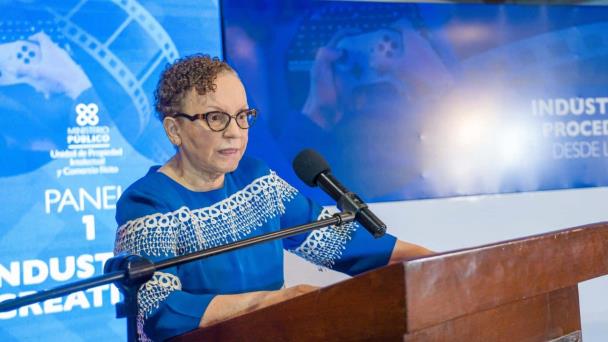 Procuradora rechaza acusaciones del director de Migración sobre apoyo del MP para detener a ilegales