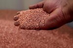 La subida del precio del cobre despierta el apetito del gigante australiano BHP Billiton