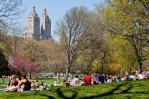 Alertan sobre ola de atracos en el Central Park de Nueva York Alertan sobre ola de atracos en el Central Park de Nueva York