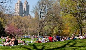 Alertan sobre ola de atracos en el Central Park de Nueva York