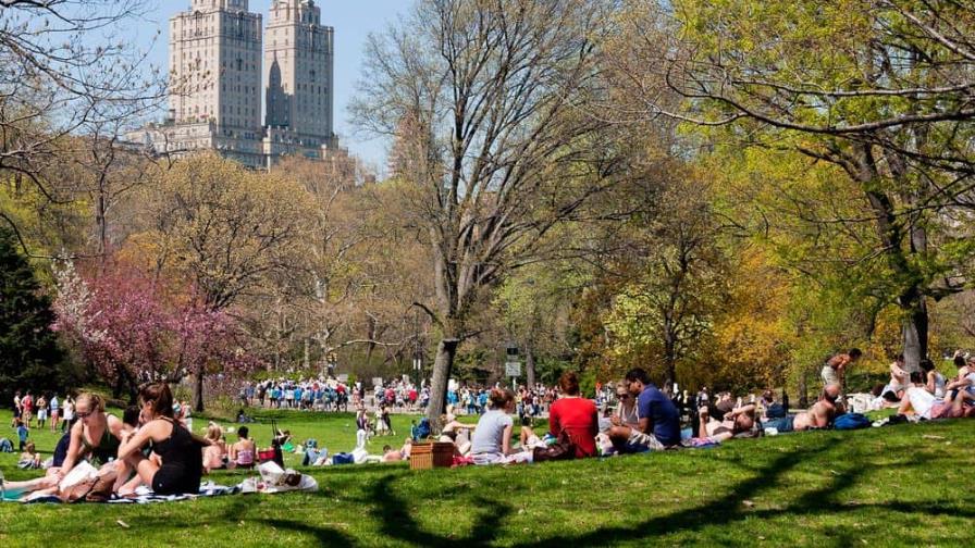 Alertan sobre ola de atracos en el Central Park de Nueva York
