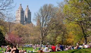 Aumenta la seguridad policial en el Central Park de Nueva York tras un aumento de robos