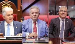Dominicanos por el Cambio conforma un nuevo bloque con tres senadores en la Cámara Alta