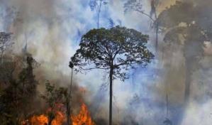 La Amazonía brasileña registra 8,977 incendios en el primer cuatrimestre