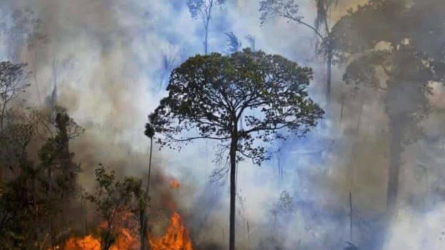 La Amazonía brasileña registra 8,977 incendios en el primer cuatrimestre