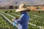 El gobierno de Biden provee 6.5 millones para vivienda de trabajadores agrícolas