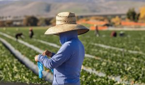 El gobierno de Biden provee 6.5 millones para vivienda de trabajadores agrícolas