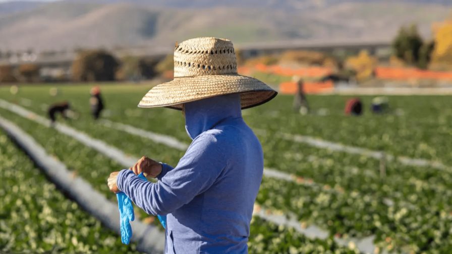 El gobierno de Biden provee 6.5 millones para vivienda de trabajadores agrícolas
