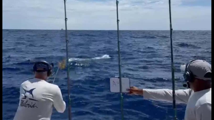 Plaza San Juan sale al frente en torneo de pesca del marlin blanco