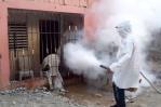 Reporte de la OPS afirma casos sospechosos de dengue en el país ascendieron a 7,663