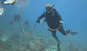 Centenares de voluntarios limpian los arrecifes de los Cayos de Florida