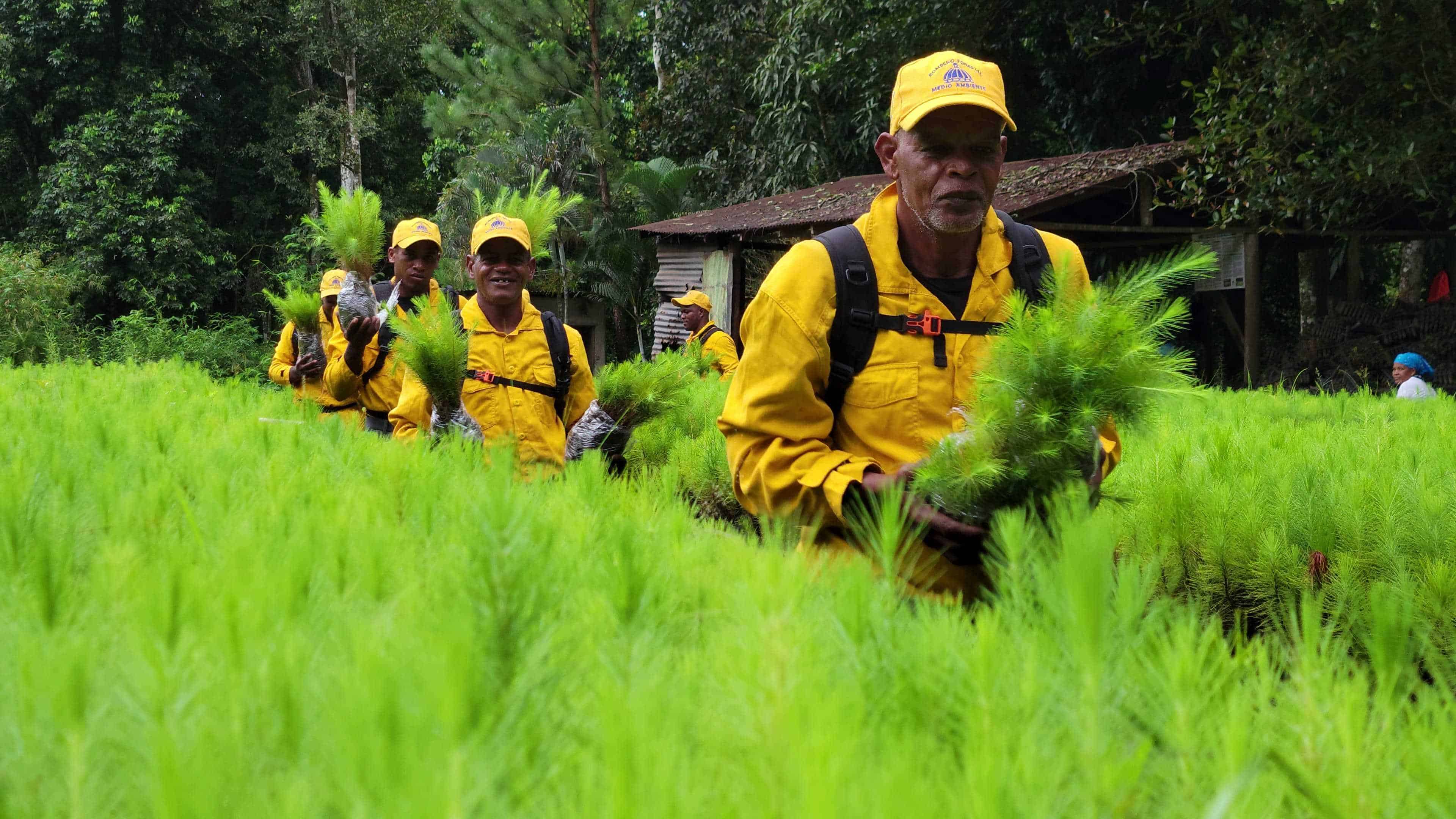 Bomberos forestales participaron de una jornada de restauración de árboles como actividad para conmemorar su labor.