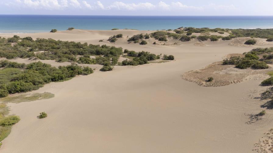 Apuestan a inversión en infraestructuras y el comanejo para lograr resguardar dunas de Baní Apuestan a inversión en infraestructuras y el comanejo para lograr resguardar dunas de Baní