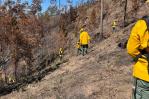 Incendios forestales se redujeron 58 % en los primeros cuatro meses del 2024 Incendios forestales se redujeron 58 % en los primeros cuatro meses del 2024