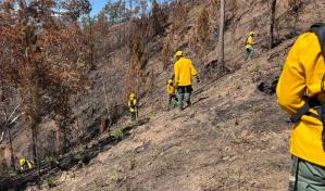 Incendios forestales se redujeron 58 % en los primeros cuatro meses del 2024