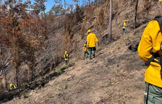Incendios forestales se redujeron 58 % en los primeros cuatro meses del 2024