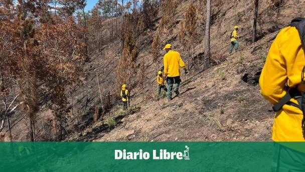 Incendios forestales se reducen 58 % entre enero y abril