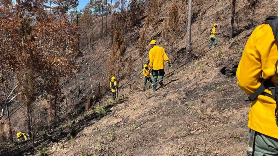 Incendios forestales se redujeron 58 % en los primeros cuatro meses del 2024