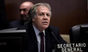 La OEA felicita a Mulino por su victoria en unas elecciones con masiva participación