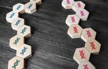 Identifican una nueva forma de Alzheimer que afecta a personas con dos copias de un gen