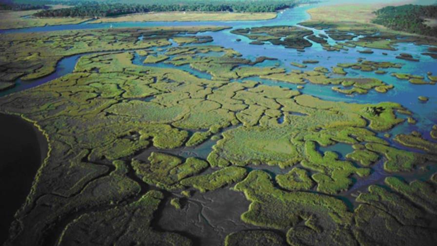 Los deltas mediterráneos, el hábitat más frágil, lanzan un SOS por el cambio climático