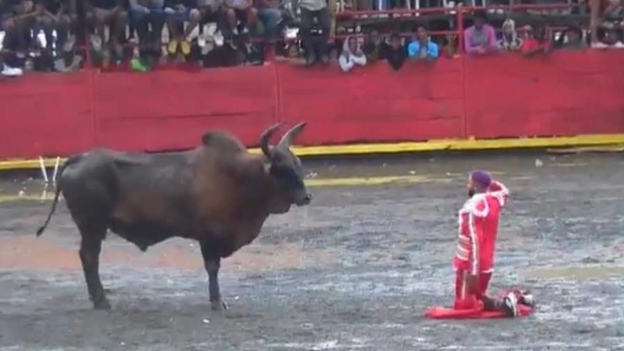 Intervienen quirúrgicamente a un torero tras ser herido por un toro durante corridas en El Seibo