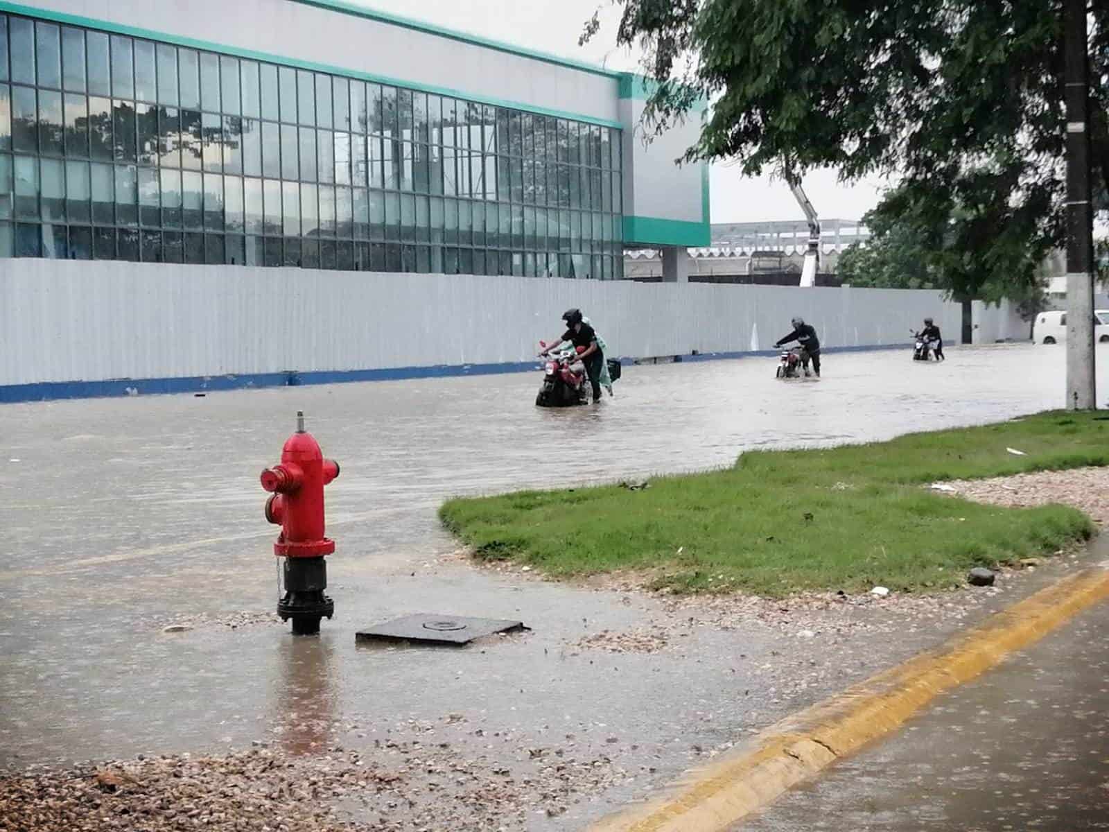 [object HTMLTextAreaElement]