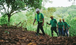Donativos Ambientales Ford 2024: Impulsando la Sostenibilidad en Centroamérica y el Caribe