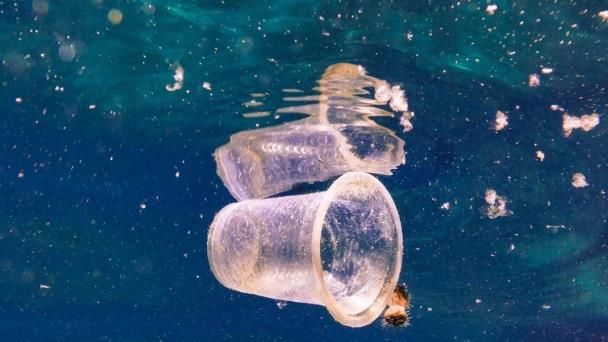 Enjambres de robots diminutos limpian microplásticos y microbios de forma simultánea
