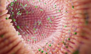 ¿Es tu microbiota intestinal la culpable de que no puedas perder peso?