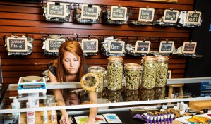 Venta legal de marihuana genera en EE.UU. más de 20,000 millones de dólares en impuestos