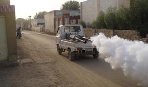 La temperatura del &Iacute;ndico podr&iacute;a ayudar a predecir las tendencias mundiales del dengue