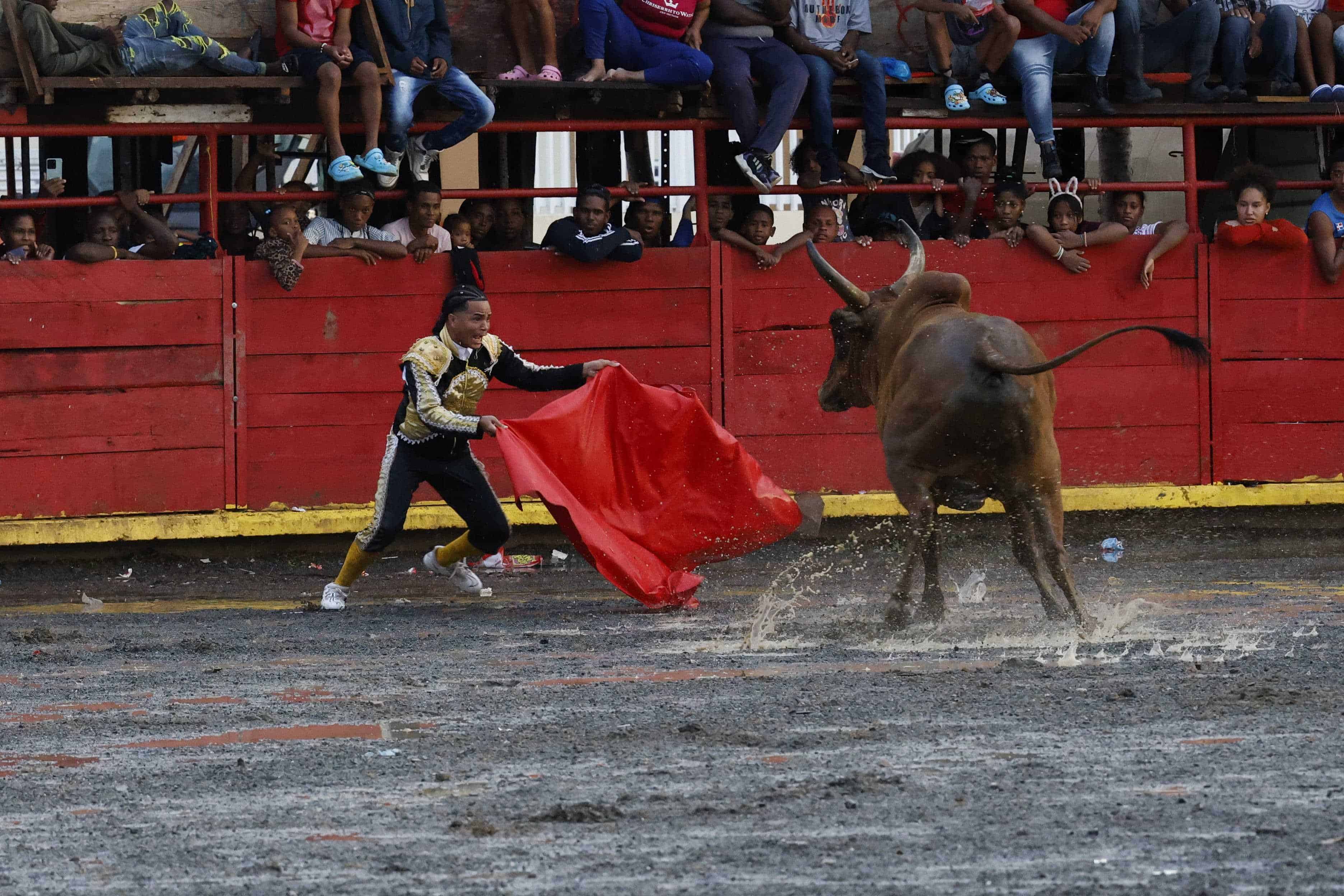 Torero en plena faena en El Seibo.