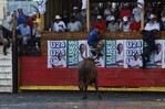 Corridas de toros en El Seibo dinamizan el comercio de la regi&oacute;n Este