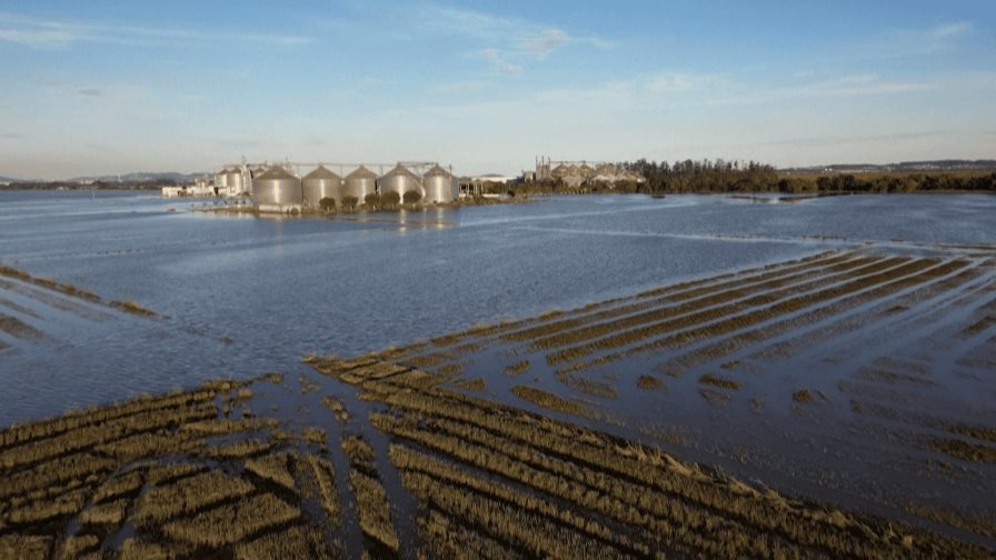 El poderoso sector agrícola brasileño pagará el precio de inundaciones históricas