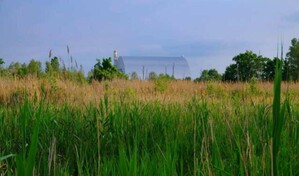 Cinco cosas que hay que saber 40 a&ntilde;os despu&eacute;s de la cat&aacute;strofe de Chern&oacute;bil