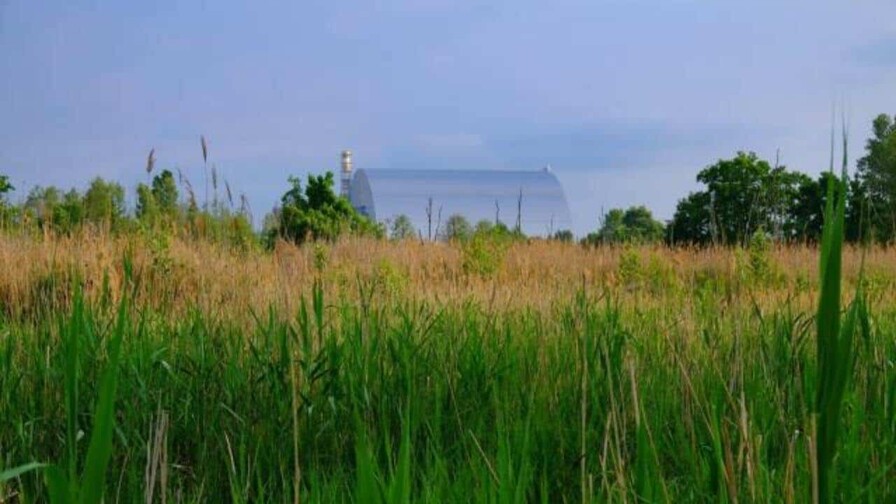 Cinco cosas que hay que saber 40 años después de la catástrofe de Chernóbil