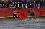 Inician los preparativos para las corridas de toros en El Seibo