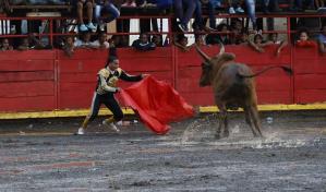 Inician los preparativos para las corridas de toros en El Seibo